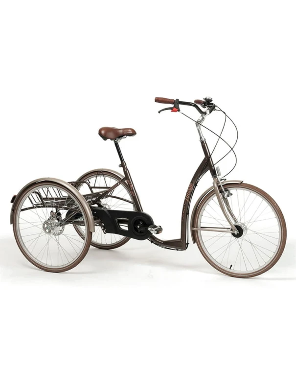rowerek vintage.jpg