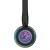 Littmann Cardiology IV RAINBOW FINISH 6165 Stetoskop kardiologiczny